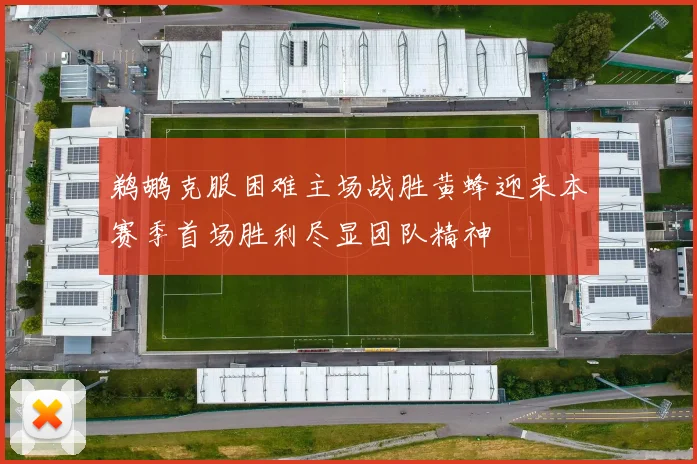 鹈鹕克服困难主场战胜黄蜂迎来本赛季首场胜利尽显团队精神