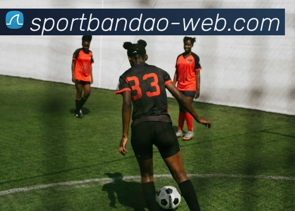 半岛体育平台生态图