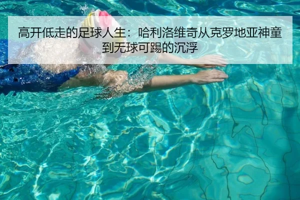高开低走的足球人生：哈利洛维奇从克罗地亚神童到无球可踢的沉浮